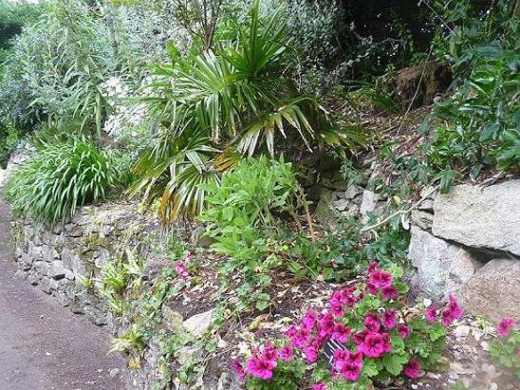 131 Ile de Batz Jardin Georges Delaselle_000028.jpg